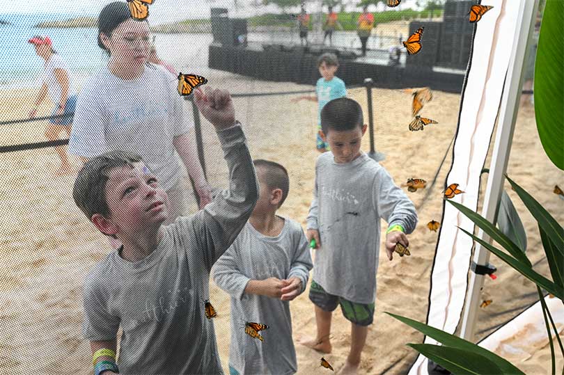 Trio of young boys peering into butterfly enclosure.