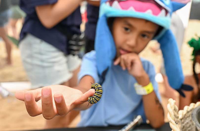 Boy holds up a monarch butterfly caterpillar on his pinky finger.