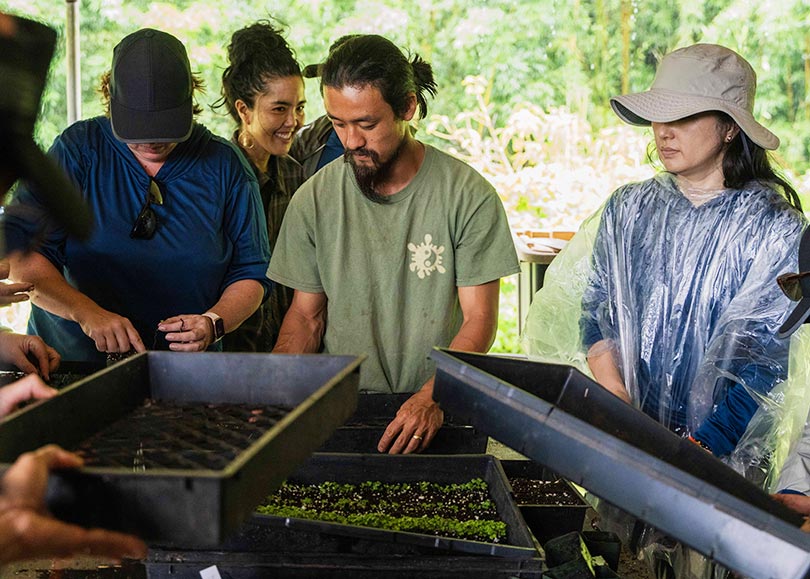 Group working outdoors with trays of seedlings.