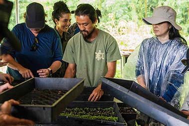People helping plant seedlings.
