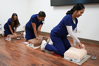 Students wearing scrubs practice CPR on training dummies.